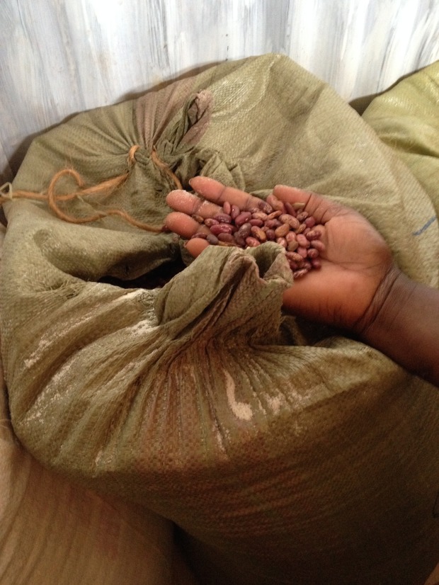 Beans donated by Hindu Women